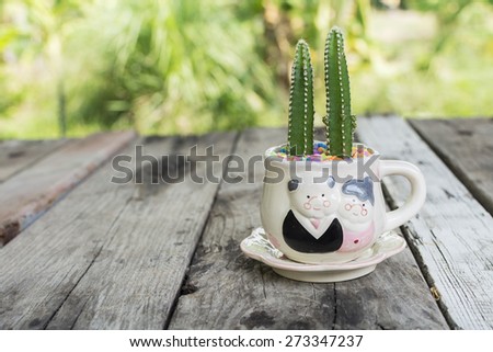 Cactus On Wood floor in garden. Blurred bokeh green background.