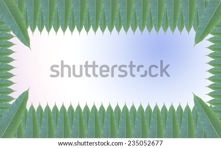 Green leaves frame on the background of beautiful pastel gradient