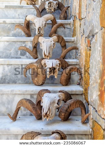 Steps decorated with sheep skull at Crete island