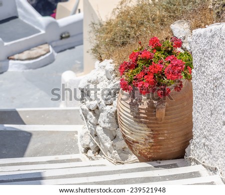 Traditional Greek vase with red flowers and white steps on Santorini island