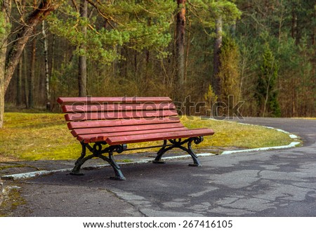 Red bench in spring pine tree forest