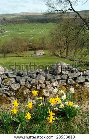 A view across the Yorkshire Dales, in Northern England.  The landscape of the Yorkshire Dales is typified by dry stone walls and field barns.