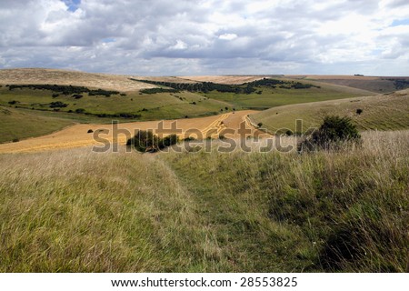 The landscape of the South Downs is a mix of open rolling hills of grassland and arable fields.  In the foreground an ancient trackway leads down to the field below through the chalk grassland.