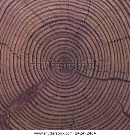 Wooden annual rings. Slice of tree trunk. digital graphics.