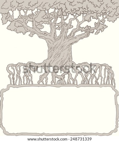 Old tree with frame in the roots. Oak age-old and a place for text. Pencil drawing on paper.