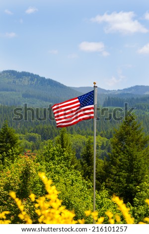 American Flag Overlooking Mountains American Flag on a hill overlooking trees and mountains