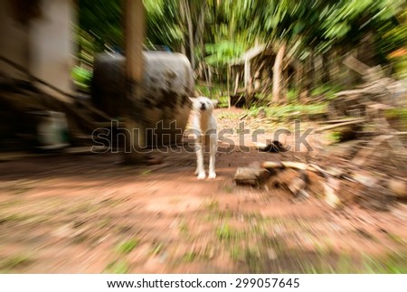 barking dog, in the style of motion blur