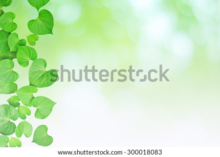 Natural heart-shaped green leaves, soft focus blurry background in green tone