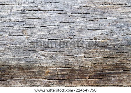 Old rotten wood texture background