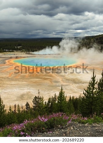 grand prismatic  spring in midway geyser basin in yellowstone national park, wyoming
