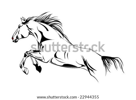 horse head sketches. horse jump vector sketch