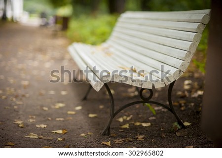 White bench in the park in august with blurry background
