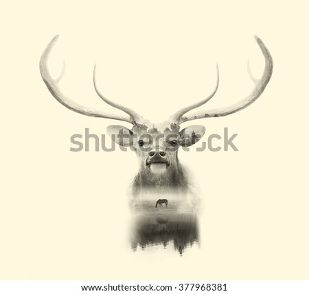 deer head on white background with double exposre effect