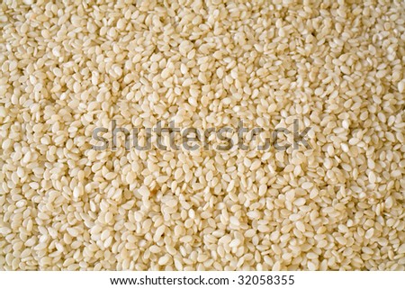 Sesame Seeds as far as the eye can see.