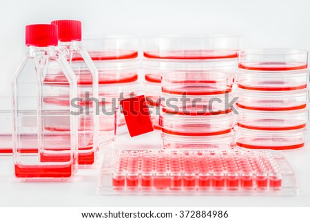 Various cell culture plates, dishes and flasks.