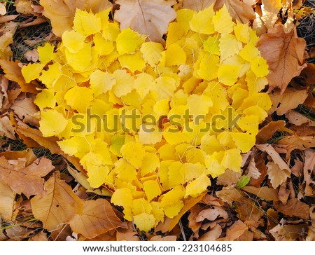 From yellow, gold,birch leaf lined heart of oak. Lights the whole picture in natural light. You can use as background