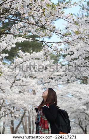 A Chinese Girl enjoying Cherry Blossom in Seoul Korea