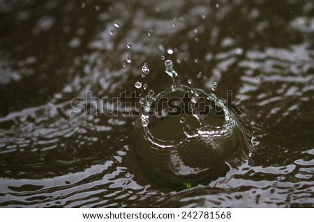 Rain Drops Splashing in Heavy Rains, Tortuguero National Park, Costa Rica