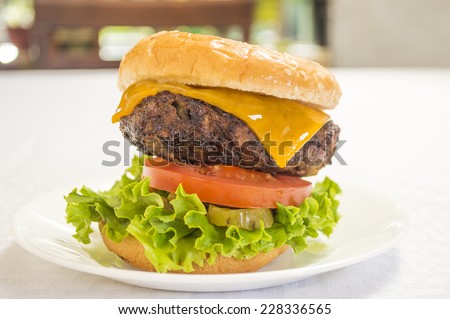 fresh hot gourmet cheese burger with lettuce tomato and pickle \