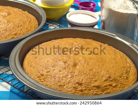 two white cakes in cake pans cooling with cake ingredients on table\
