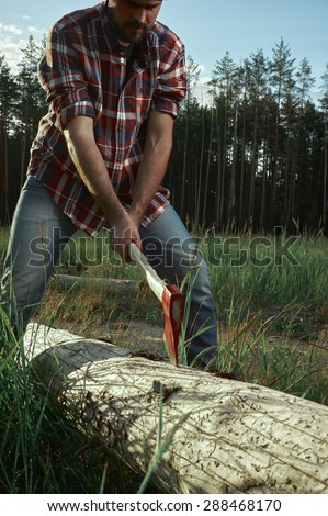 Bearded Lumberjack cut a Tree in Forest