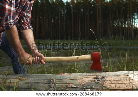 Hands of Lumberjack with Axe cut a Tree