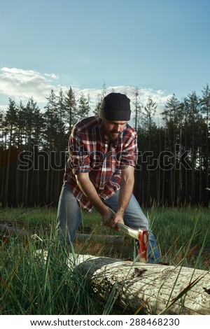 Bearded Lumberjack in a Hat cut a Tree in Forest
