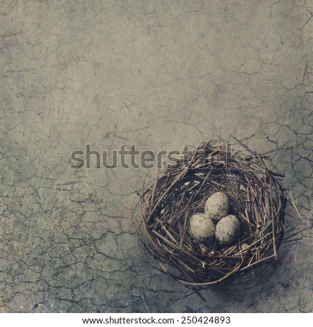 Bird nest with eggs on dry desert ground.