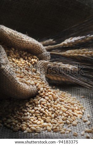 Bag full of wheat and wheat ears