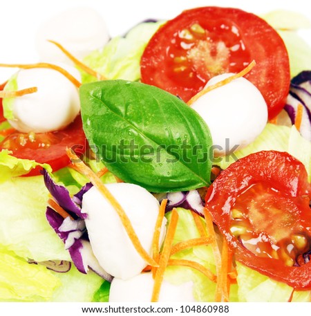 Fresh healthy salad ingredients