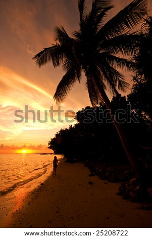 Sunset on Malola Island, Fiji. Palm tree and beach with a woman walking in to the sunset
