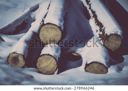 Colour picture of a pile of fire wood in winter