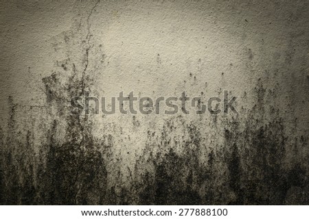 Old cement floor background texture.