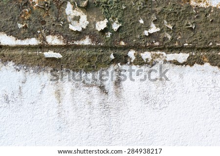Old grungy wall texture with mold on surface