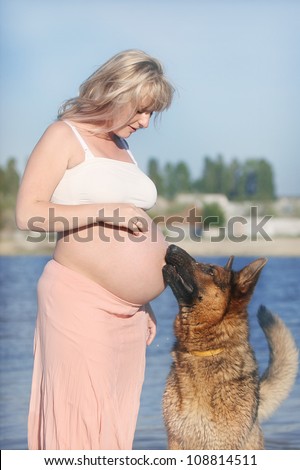 Pregnant Woman And Sheep-Dog Licking Her Belly Stock Photo 108814511