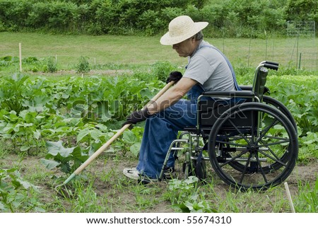 handicapped man in a wheelchair tending his garden