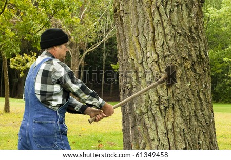 man preparing to chop down a tree with an old double blade axe