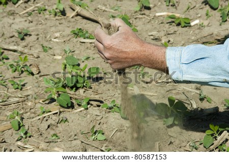 man's hand showing dry soil in his field