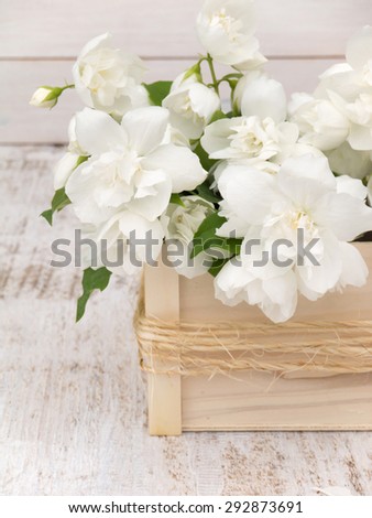 English dogwood bouquet in the wooden box on the white painted rough background