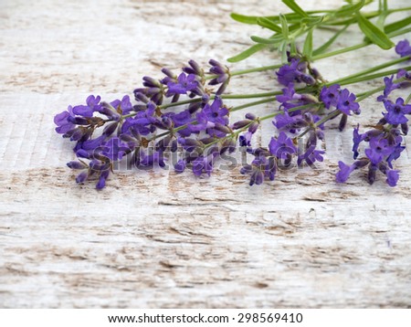 Provence lavender on the white painted rough board