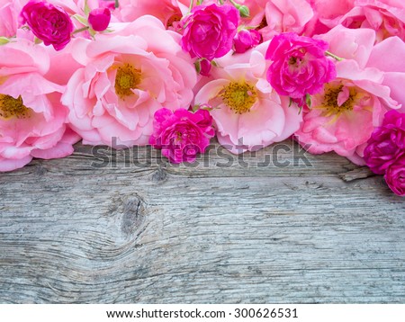 Pink curly roses and small vibrant pink roses on the old weathered wooden board