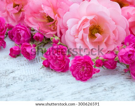 Pink curly roses and small vibrant pink roses on the rustic white painted background
