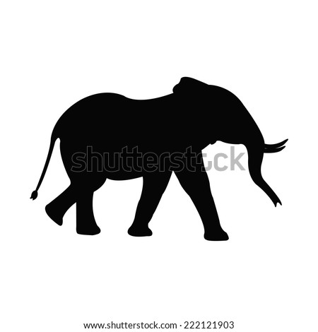 Silhouette of a elephant Silhouette of a elephant