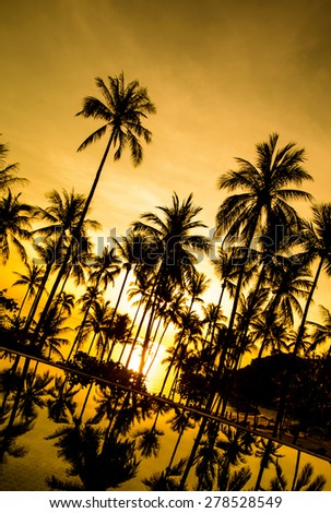 Silhouette of coconut tree at the beach with shadow in swimming pool on sunset time