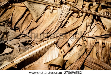Background and texture of dry banana leaf with brown color