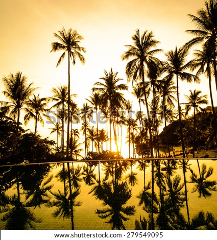 Silhouette of coconut tree at the beach with shadow in swimming pool on sunset time