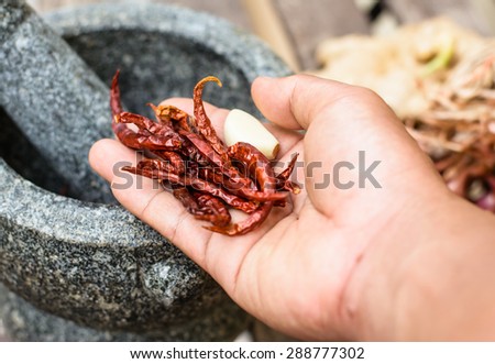 Stone mortar and red dry chili on a hand in thai kitchen style,Focus on red chili on a hand