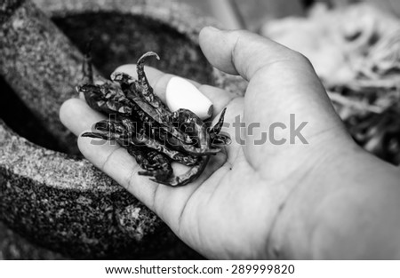 Stone mortar and dry chili on a hand in thai kitchen style with black and white color,Focus on chili in a hand