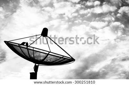 Best signal of satellite dish and couple birds with black cloudy and dark sky before heavy rainy and storm coming