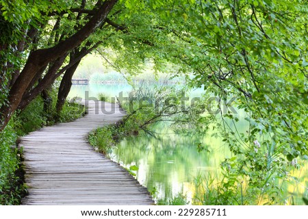 Beautiful path at the lake